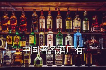 中國著名酒廠有