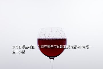 云南有哪些啤酒廠 分別在哪些市縣最主要的是詳細(xì)介紹一些中小型