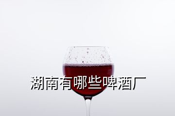 湖南有哪些啤酒廠