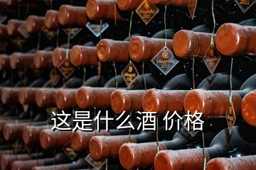 這是什么酒 價格