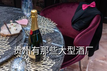 貴州有那些大型酒廠