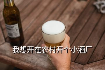 我想開在農(nóng)村開個(gè)小酒廠