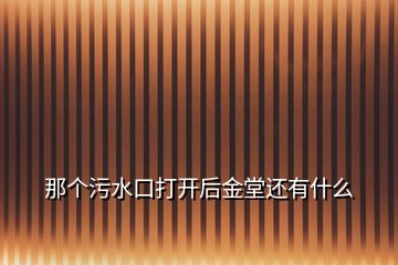 那個(gè)污水口打開后金堂還有什么