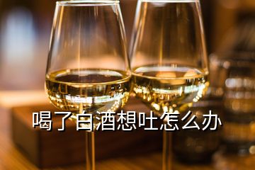 喝了白酒想吐怎么辦