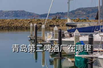 青島第二啤酒廠在哪里