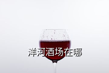 洋河酒場(chǎng)在哪