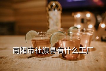 南陽(yáng)市社旗縣有什么工廠