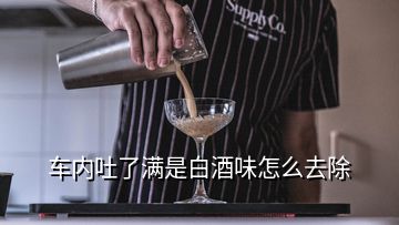 車內(nèi)吐了滿是白酒味怎么去除