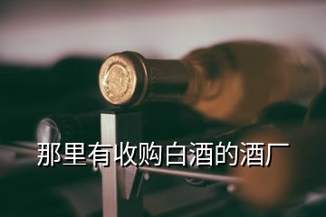 那里有收購白酒的酒廠