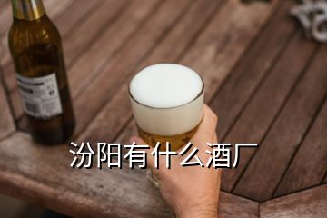 汾陽有什么酒廠