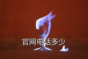 官網(wǎng)電話多少