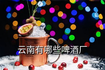 云南有哪些啤酒廠