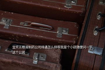 宜賓五糧液制藥公司待遇怎么樣啊我是個(gè)小碩隨便問(wèn)一下這個(gè)公司