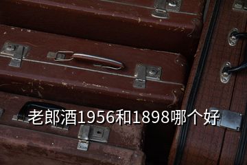 老郎酒1956和1898哪個好