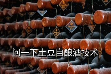 問一下土豆自釀酒技術(shù)