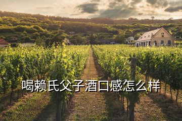 喝賴氏父子酒口感怎么樣