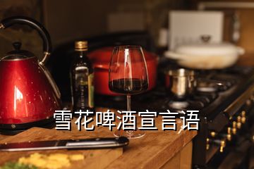 雪花啤酒宣言語(yǔ)