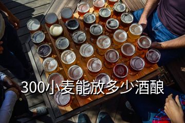 300小麥能放多少酒釀