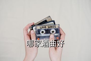 哪家酒曲好