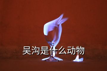 吳溝是什么動(dòng)物