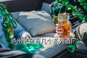 瀘州老窖有幾個系列酒廠