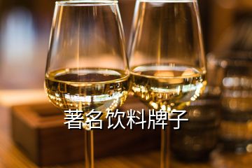 著名飲料牌子