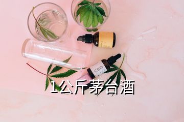 1公斤茅臺(tái)酒