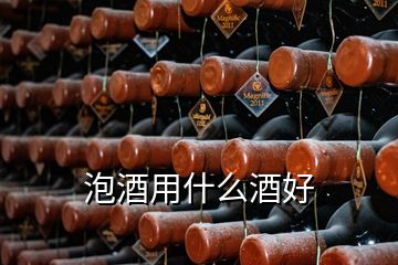 泡酒用什么酒好