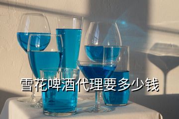 雪花啤酒代理要多少錢