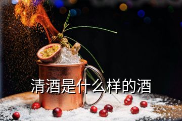 清酒是什么樣的酒