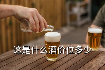 這是什么酒價位多少