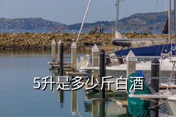 5升是多少斤白酒