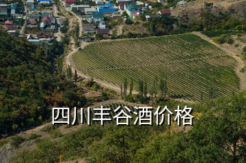 四川豐谷酒價格