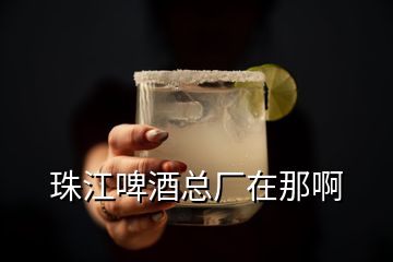 珠江啤酒總廠在那啊