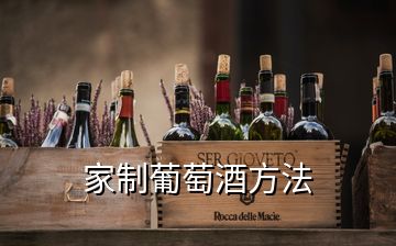 家制葡萄酒方法