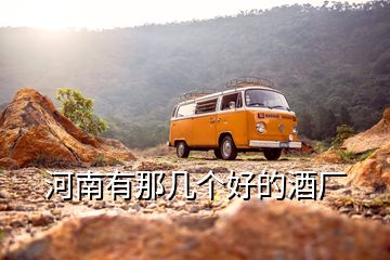河南有那幾個好的酒廠