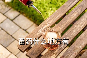 苗藥什么地方有
