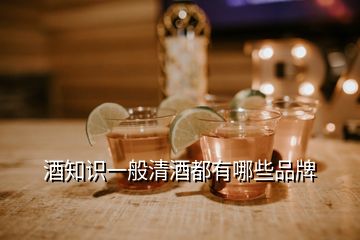 酒知識(shí)一般清酒都有哪些品牌