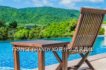 FRANCE BRANDY XO是什么酒求具體