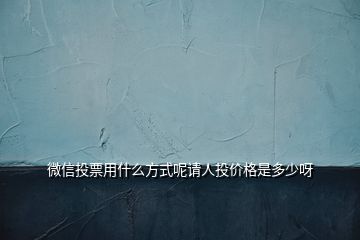 微信投票用什么方式呢請(qǐng)人投價(jià)格是多少呀