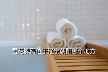 雪花脾酒位于遼寧朝陽哪個(gè)地方