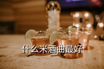 什么米酒曲最好