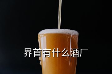 界首有什么酒廠