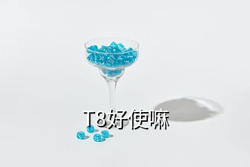 T8好使嘛