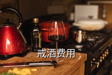 戒酒費(fèi)用