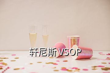 軒尼斯 VSOP