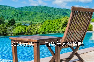 3000元買了一瓶兔年茅臺(tái)值嗎