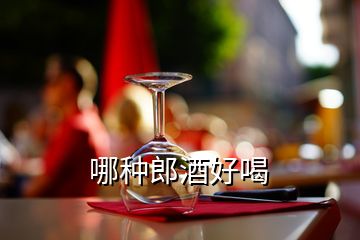 哪種郎酒好喝