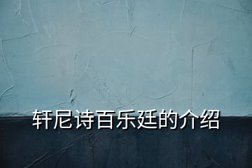 軒尼詩百樂廷的介紹