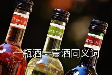 一瓶酒一壸酒同義詞